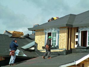 Vegetated roof with low-growing plants, drainage edges, and a nearby residential building under cloudy skies.