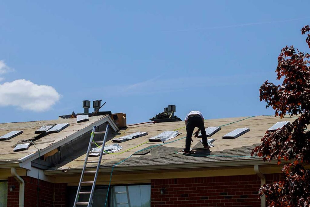 A homeowner observes green moss and dark algae streaks on shingles beneath leafy tree branches.